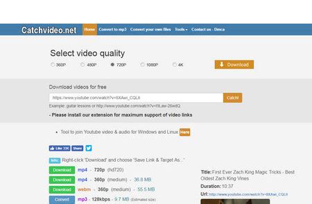 Online Video Downloader 